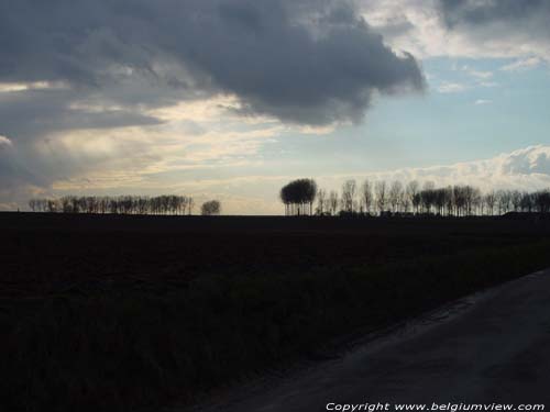 Landschap TONGEREN / BELGI  