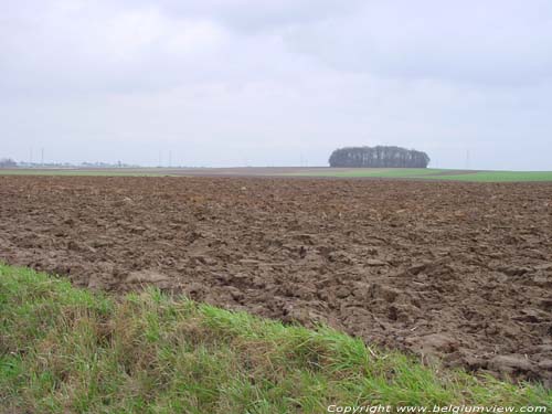 Landscape TONGEREN picture e