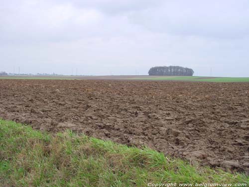 Landschap TONGEREN foto  