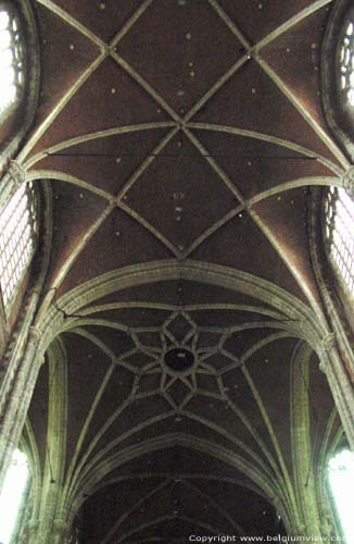 Cathédrale Saint-Bavon GAND photo 