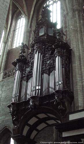 Saint-Baafs' cathedral GHENT / BELGIUM e