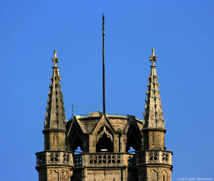 Cathdrale Saint-Bavon GAND / BELGIQUE 