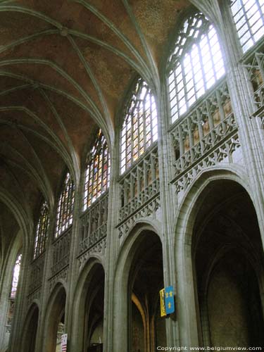 Sint-Waltrudiskerk MONS in BERGEN / BELGI 