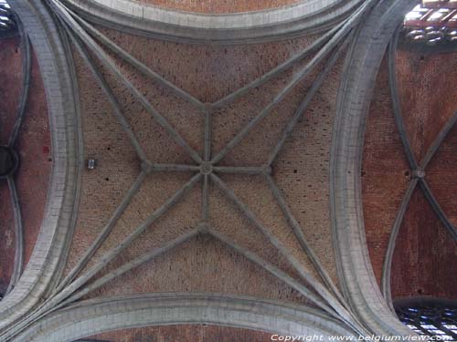 Saint Waudru church MONS / BELGIUM 