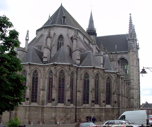 Sint-Waltrudiskerk MONS in BERGEN / BELGI 