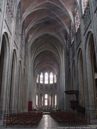 Sint-Waltrudiskerk MONS in BERGEN / BELGI 