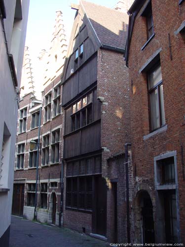 Wooden house ANTWERP 1 in ANTWERP / BELGIUM 