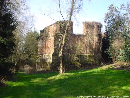 Our Lady on the Throne priory GROBBENDONK picture e