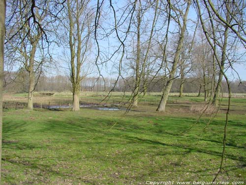 Paysage te Trne GROBBENDONK / BELGIQUE 