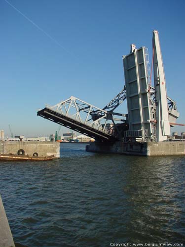 Siberiabridges ANTWERP 3 / ANTWERP picture