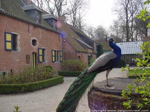 Feestzaal Flinckheuvel SCHILDE / BELGIQUE 