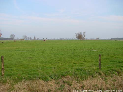 Landschap BRECHT foto  