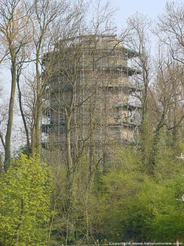 Ruines de Chteau-fort ( Brustem) SINT-TRUIDEN / SAINT-TROND photo 