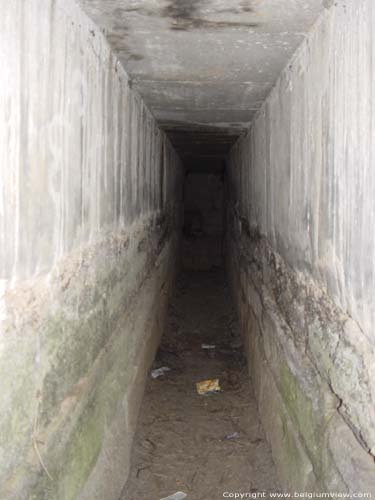 Tumulus of Trou de Billemont ANTOING / BELGIUM 