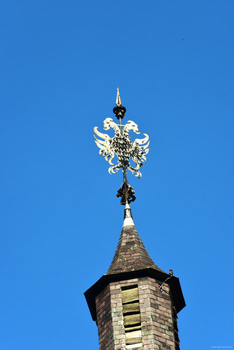 Kasteel Cantecroy MORTSEL foto 