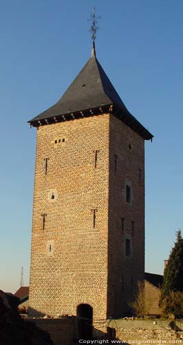 Kasteel in Ordingen SINT-TRUIDEN / BELGI De nu alleenstaande westelijke toren (die o.a. als duiventoren dienst deed).