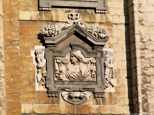 Sint-Pieterskerk; Kerk van de H.H. Apostelen Petrus en Paulus MECHELEN foto 