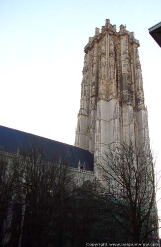 Cathedral Saint-Rombouts' cathedral MECHELEN picture