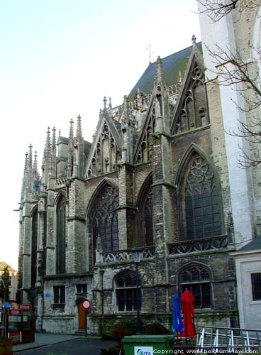 Cathedral Saint-Rombouts' cathedral MECHELEN picture
