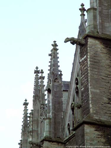 Sint-Romboutskathedraal MECHELEN / BELGI 