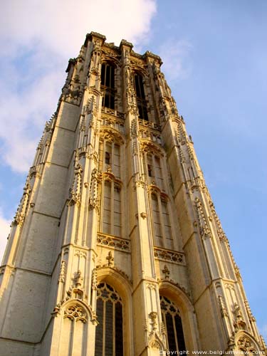 Cathedral Saint-Rombouts' cathedral MECHELEN picture 