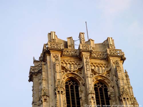 Cathedral Saint-Rombouts' cathedral MECHELEN picture