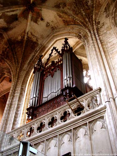 Sint-Romboutskathedraal MECHELEN / BELGI 