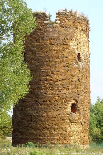 Maagdentoren - Marketoren ZICHEM in SCHERPENHEUVEL-ZICHEM / BELGI 