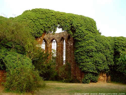 Ruines de l'glise Saint-Jean le Baptist DIEST / BELGIQUE 