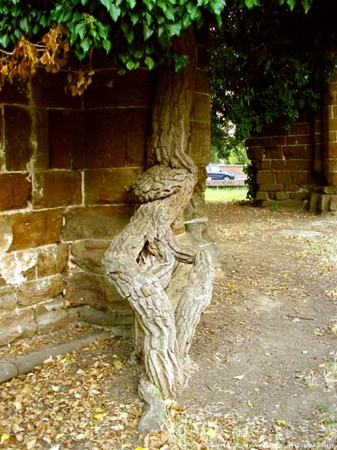 Ruins of the Saint-John's church DIEST picture 