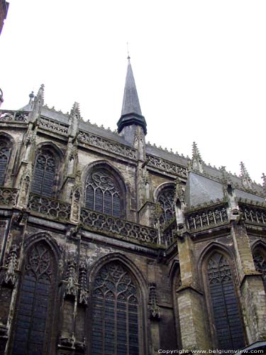 Saint-Martin's Basilica HALLE / BELGIUM 