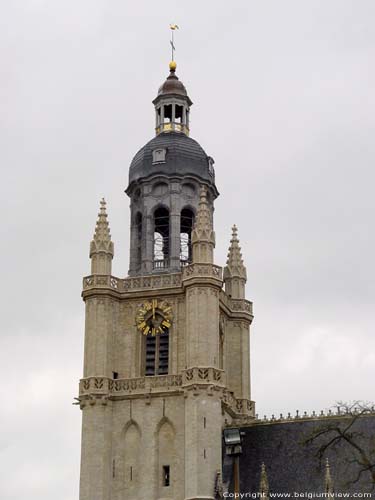 Sint-Martinus Basiliek HALLE / BELGI 