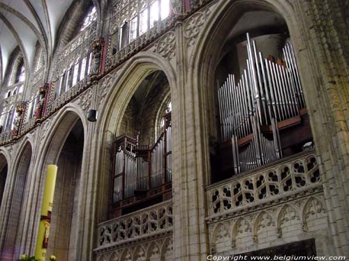 Sint-Martinus Basiliek HALLE / BELGI 