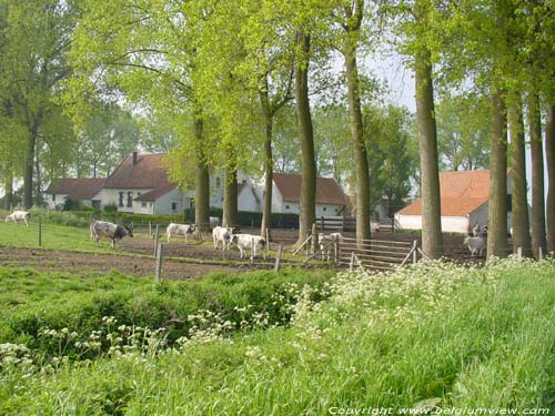 Hoeve van de Motterie 1650 ESTAIMPUIS / BELGI  