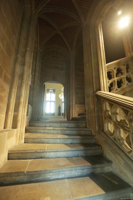 Stadhuis GENT foto 