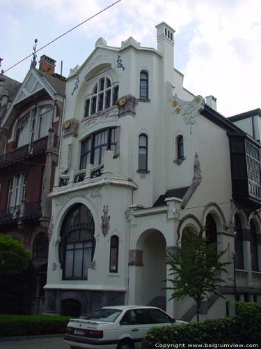 Zonnebloem (tournesol) BERCHEM  ANVERS / BELGIQUE 