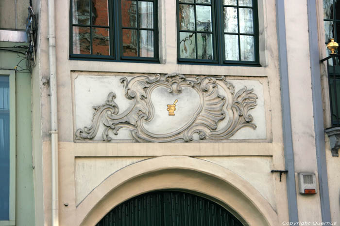 In the Gold Flower GHENT / BELGIUM 