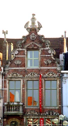 The colorful jacket GHENT / BELGIUM 