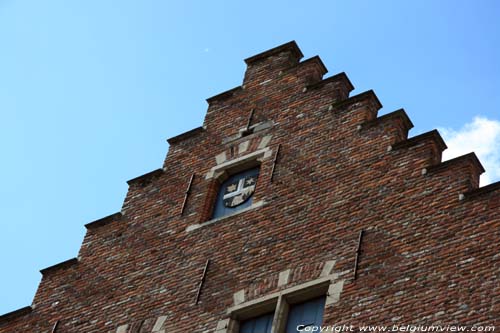 Rijhovesteen or Hof van  Ryhove (Monumentenzorg) GENT foto 