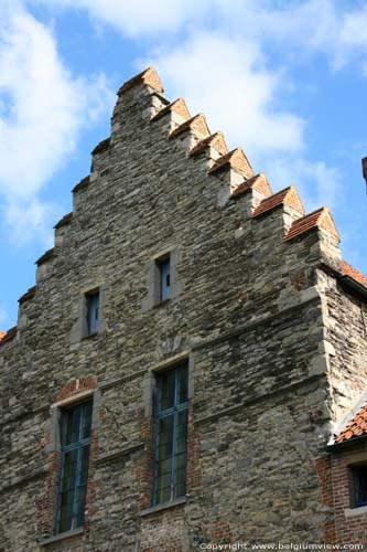 Rijhovesteen or Hof van  Ryhove (Monumentenzorg) GENT foto 