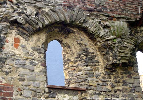 Ruins of the Saint Bavon's abbeye GHENT picture 