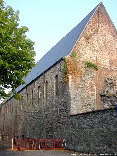 Ruines de l'Abbaye de Saint-Bavon GAND / BELGIQUE 