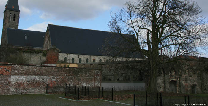 Runes Sint-Baafsabdij GENT foto 