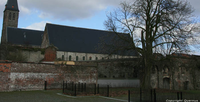 Ruines de l'Abbaye de Saint-Bavon GAND / BELGIQUE 