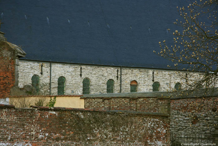 Ruines de l'Abbaye de Saint-Bavon GAND / BELGIQUE 