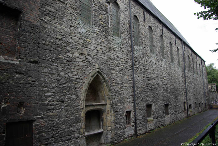 Ruins of the Saint Bavon's abbeye GHENT picture 