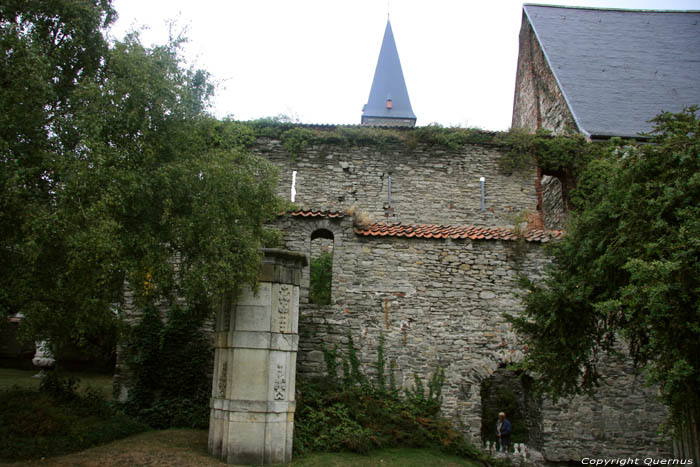 Ruines de l'Abbaye de Saint-Bavon GAND / BELGIQUE 