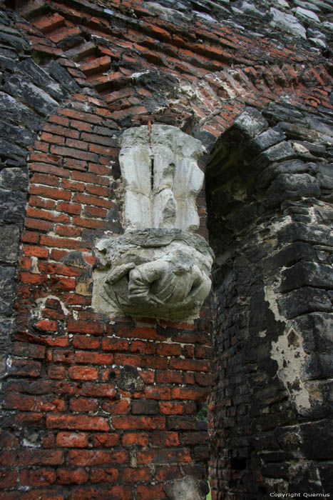 Ruines de l'Abbaye de Saint-Bavon GAND / BELGIQUE 