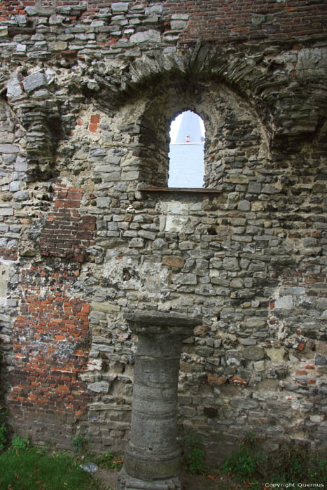 Ruines de l'Abbaye de Saint-Bavon GAND / BELGIQUE 