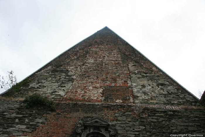 Ruins of the Saint Bavon's abbeye GHENT picture 